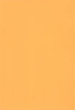 Page 4 of Petapeta 4