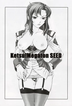 Page 3 of Ketsu Megaton Seed【零食汉化组】