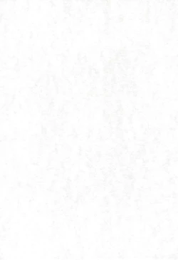 Page 3 of COTTON TIME.2