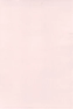 Page 101 of Uryuu to Orihime no Ecchi na Sairoku Hon!