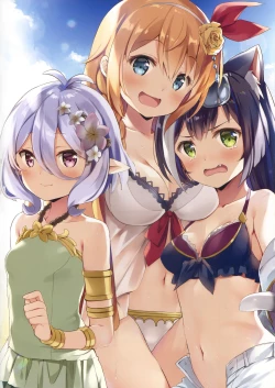 Page 11 of Bishokuden no Ecchi na Hon