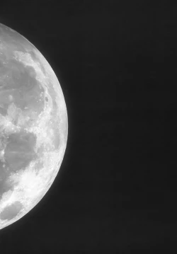 Page 9 of Remilia Ojou-sama no Bonnou