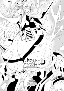 Page 23 of White sentinelle