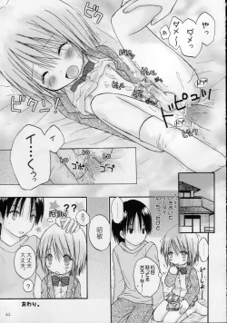 Page 41 of CAPTIVE 3+4