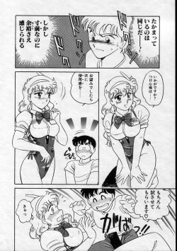 Page 14 of Serina MDS - Magical Delivery Service