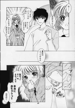 Page 31 of Apricot Collection