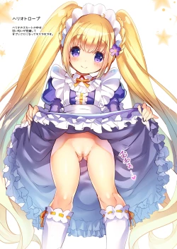 Page 29 of Lovely Flower Collection