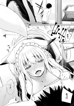 Page 29 of Houshi Shuzoku ga Yattekita!