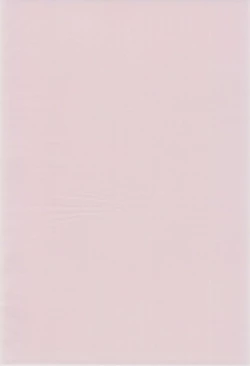 Page 4 of Toukai Chiiki Genteiteki Ramen-ya Kanban Musume Soushuuhen