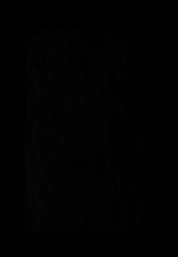 Page 21 of Nitamono Doushi【不可视汉化】