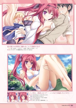 Page 25 of Hanairo Heptagram visual fanbook