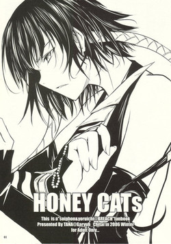 Download HONEY CATs