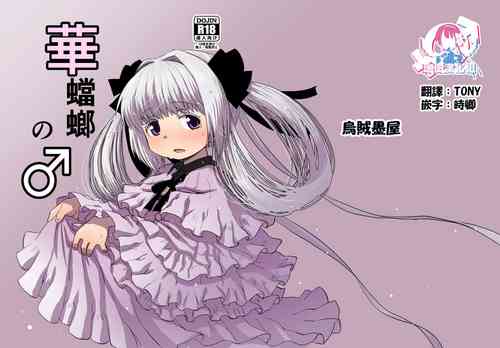 Download 華蟷螂の♂