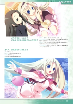 Page 25 of Twinkle☆Crusaders Perfect Visual Book