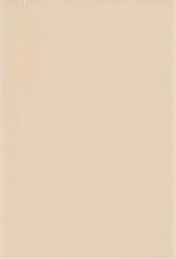 Page 42 of Sekai de Ichiban Neko Maid