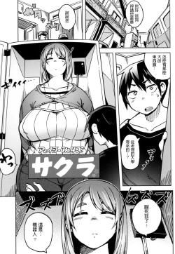 Page 1 of PAI-M4X Sakura