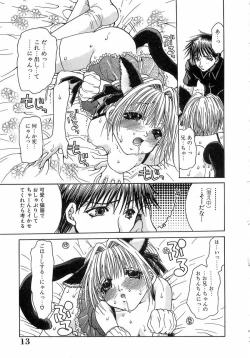 Page 13 of Kinkan Imouto Moe