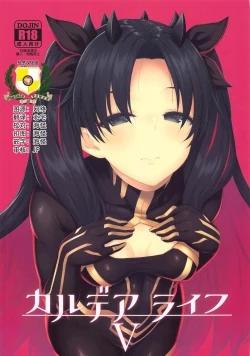 Page 2 of Chaldea Life V