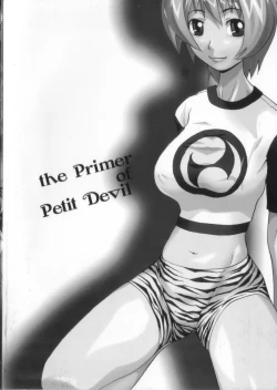 Page 4 of Koakuma Nyuumon