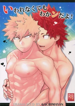 Page 1 of Iwarenakute mo Wakan da yo!