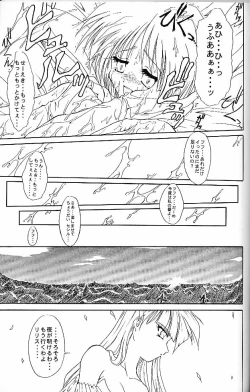 Page 20 of HYAKKA SEIHOU