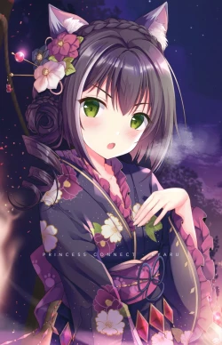 Page 3 of PriConne Rakugaki Ecchi Bon