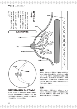Page 23 of 恋する女性のLOVE＆HEAVEN～楽しいみんなのＨファイル～イラスト版……らぶヘブッ！
