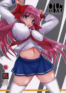 Page 1 of Holste version 1.0