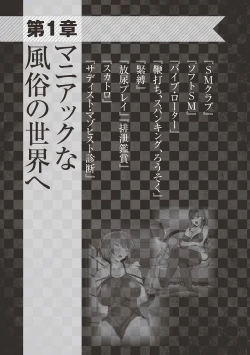 Page 11 of アブノーマル風俗入門 ラブドール風俗から、1000万円の風俗嬢まで