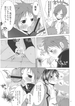 Page 13 of Hoken Note