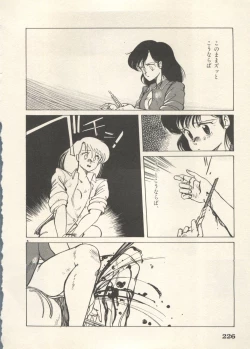 Page 229 of Bishoujo Shoukougun 6