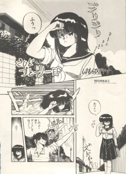 Page 87 of Bishoujo Shoukougun 6