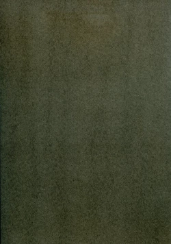 Page 3 of It only sings