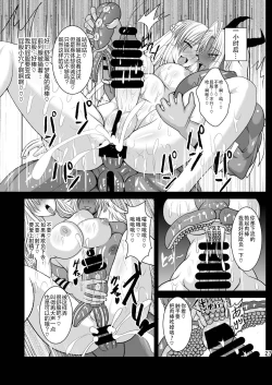 Page 27 of Musou Tensei Stella Knight