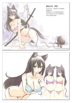 Page 14 of Tony MAGAZINE C98 Air Comike SP