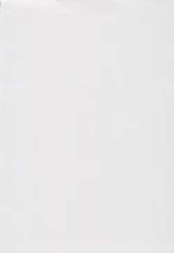 Page 4 of Kousaku shita no wa Kanojo no Shiten