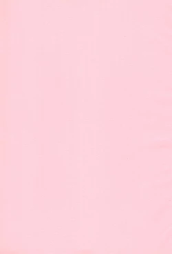 Page 3 of Onii-chan to Natsuyasumi