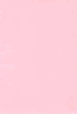 Page 4 of Onii-chan to Natsuyasumi