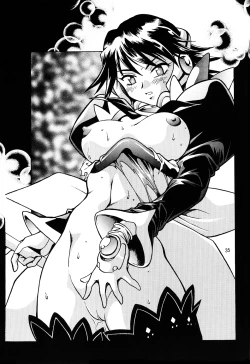 Page 34 of Corrector