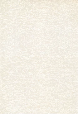 Page 3 of Codomore 2