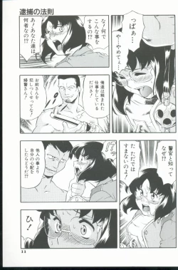 Page 12 of Kurenai No Inei