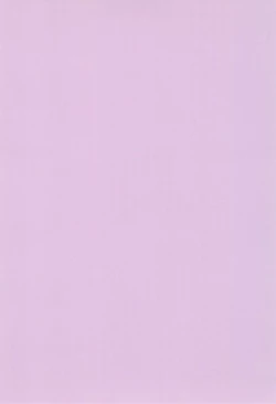 Page 4 of Shojo, Soushitsu shimashita