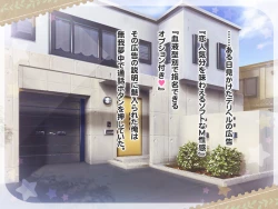 Page 213 of Ketsuekigatabetsu Option