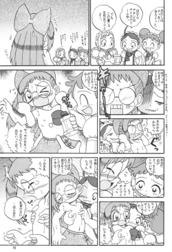 Page 14 of HI-PHS VI