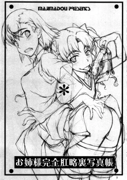 Page 3 of Oneesama Kanzen Kouryaku Photo Album