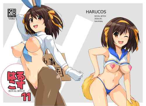 Download Harucos 11