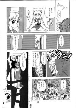 Page 13 of SUBMISSION MERCURY