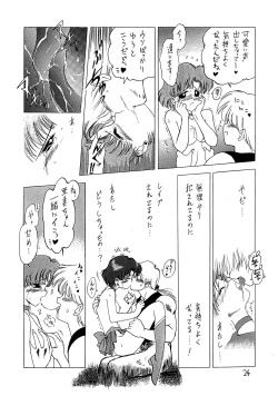 Page 25 of SUBMISSION MERCURY