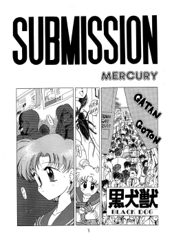 Page 4 of SUBMISSION MERCURY
