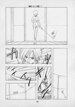 Page 55 of Shimensoka